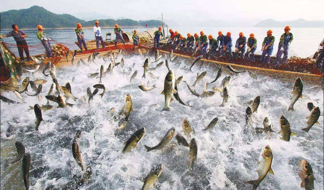 政策解读：海关总署2024年1月1日公告，允许文莱养殖水产品进口